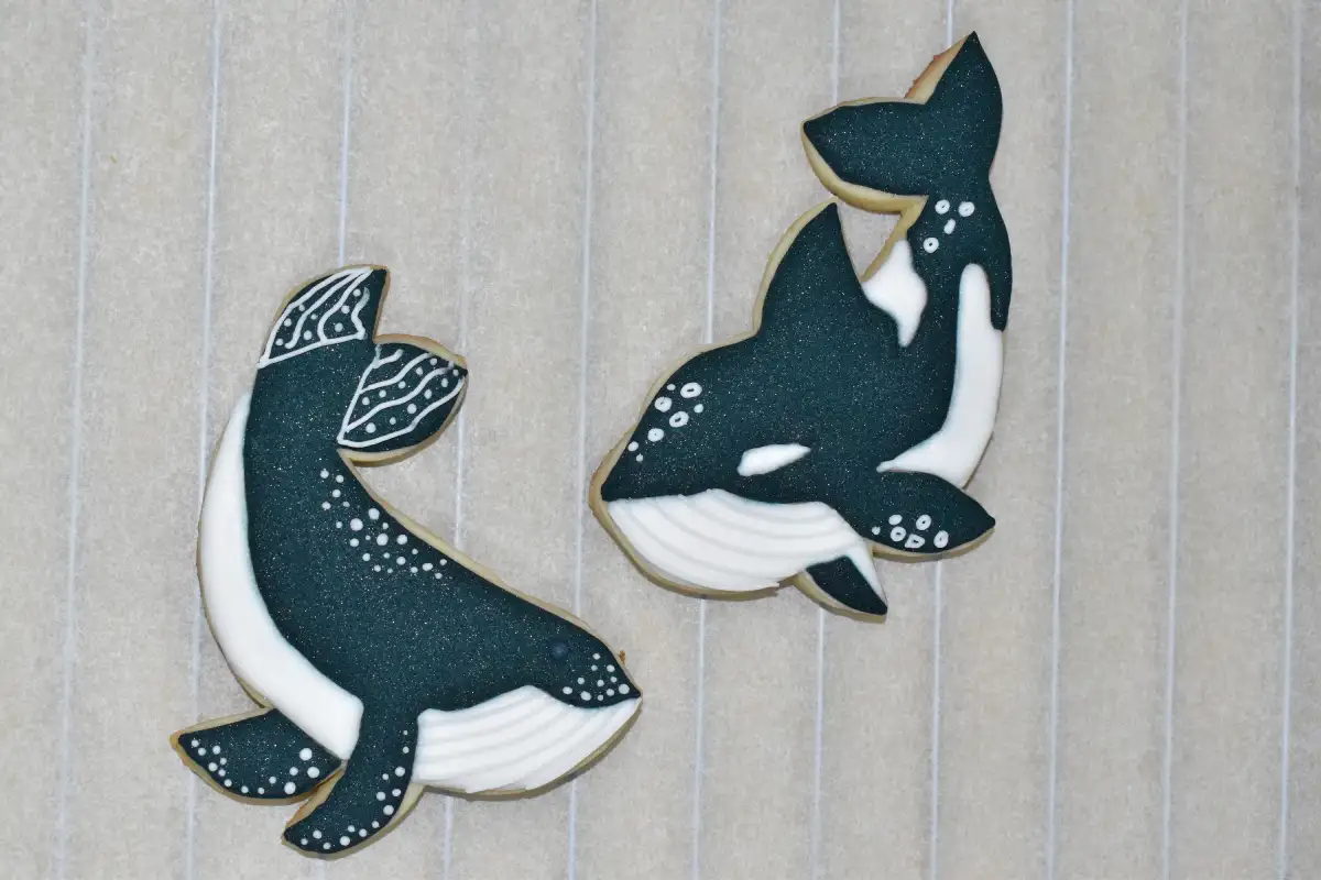 Diseño Ballenas